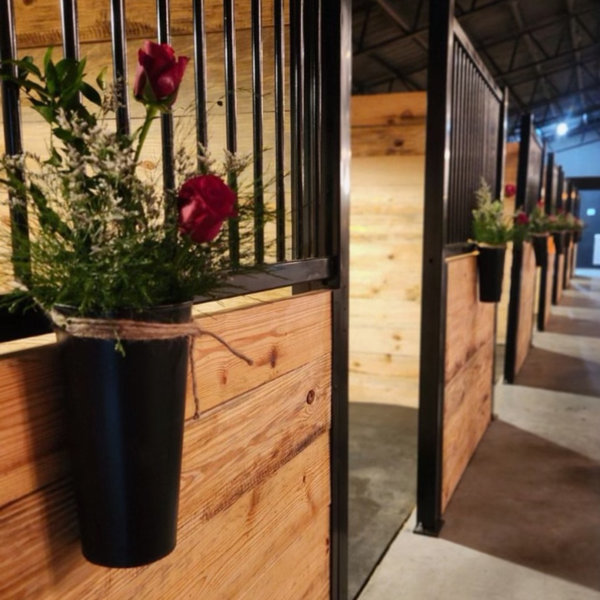 The Stables of Harp Farm — gallery 4
